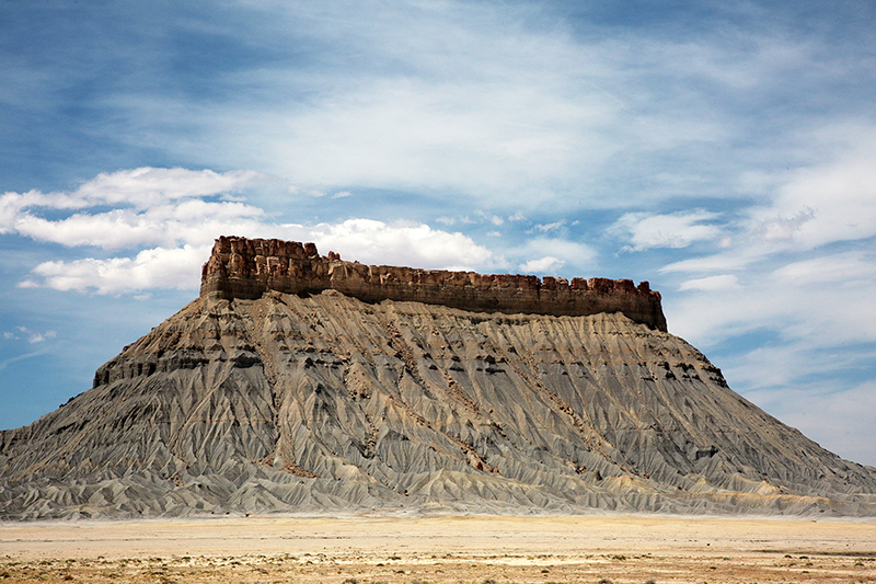Bison : Antelope Island : Utah : Landscape Photos : Richard Moore : Photographer